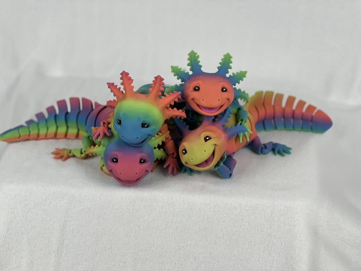 axolotl family